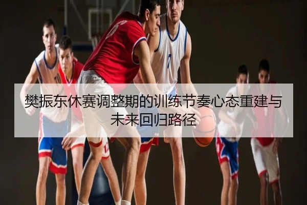 樊振东休赛调整期的训练节奏心态重建与未来回归路径