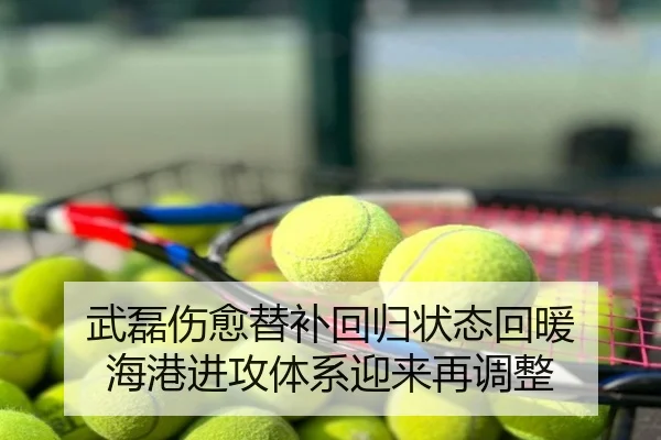 武磊伤愈替补回归状态回暖 海港进攻体系迎来再调整