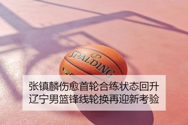 张镇麟伤愈首轮合练状态回升 辽宁男篮锋线轮换再迎新考验